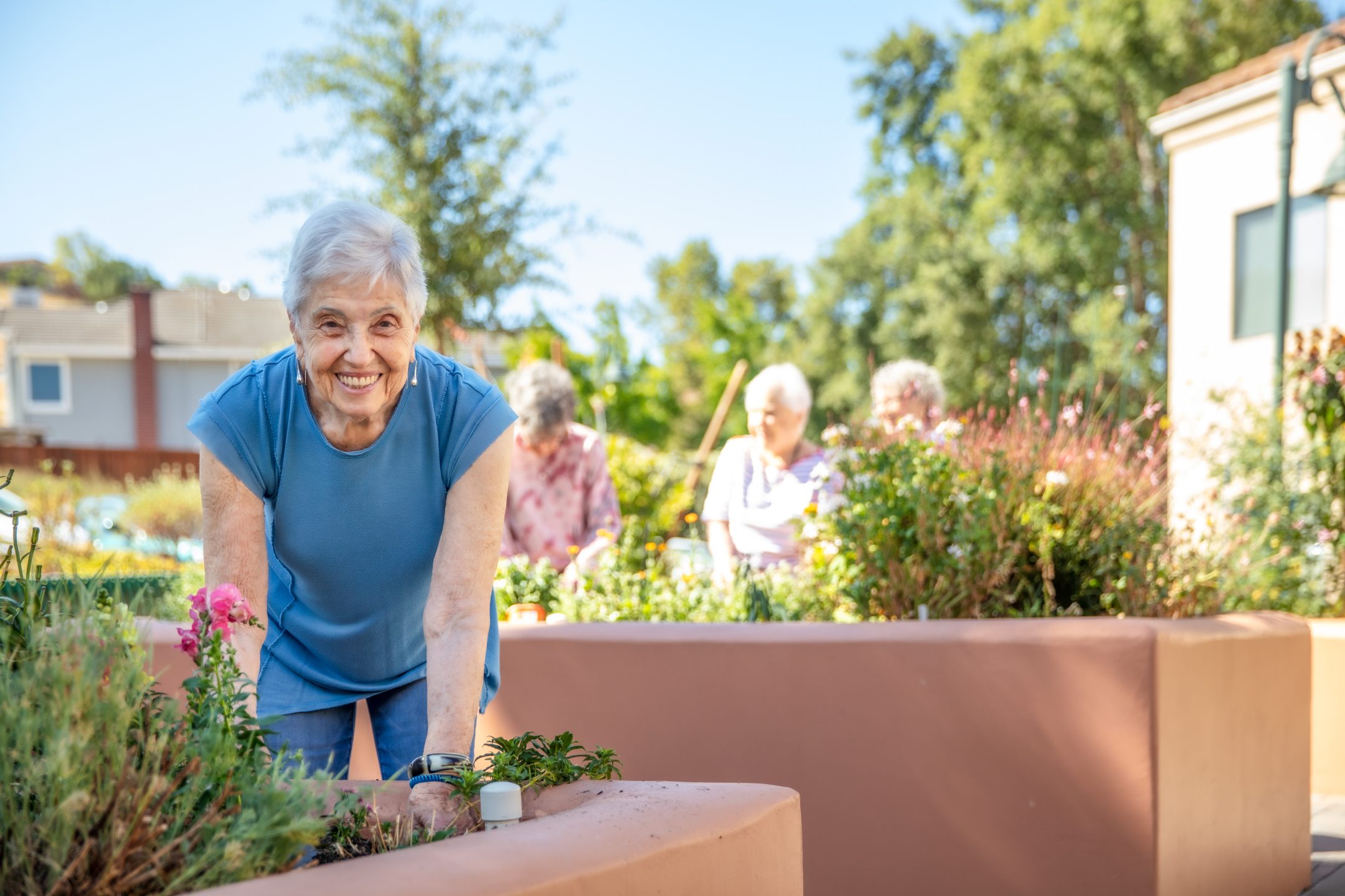An elderly woman smiles while gardening in an outdoor area, enjoying a vibrant lifestyle as she leans over a raised flower bed. In the background, three other seniors tend to plants on a sunny day with trees and a building visible.